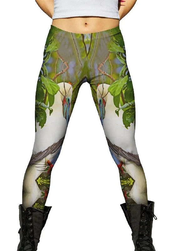 Rest Red Footed Boobies Bold Women's Animal Print