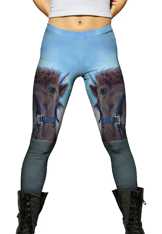 Horse Fence Peeker Compression