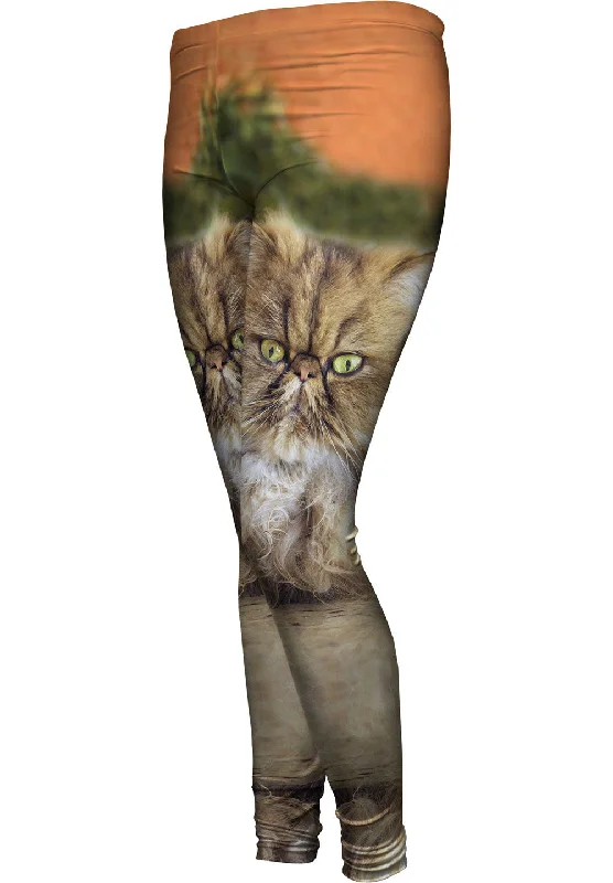 Furball Kitten Feminine Women's Style 