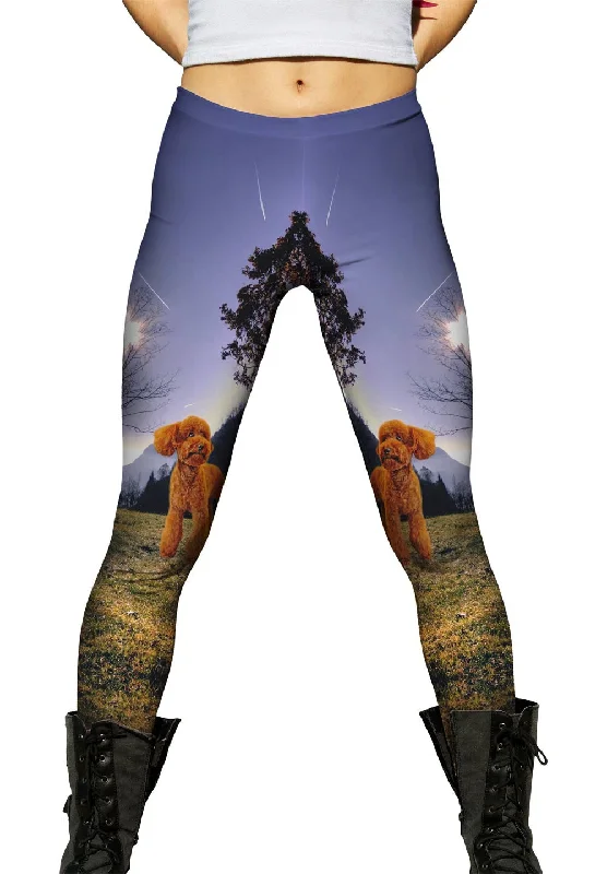Toy Poodle Forest Dynamic Women's High - energy