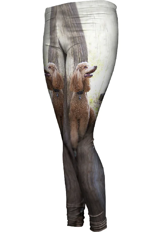 Poodle Up A Tree Dynamic Women's High - energy