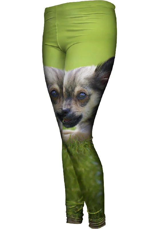 Chihuaha Loves To Chew Edgy Women's Punk