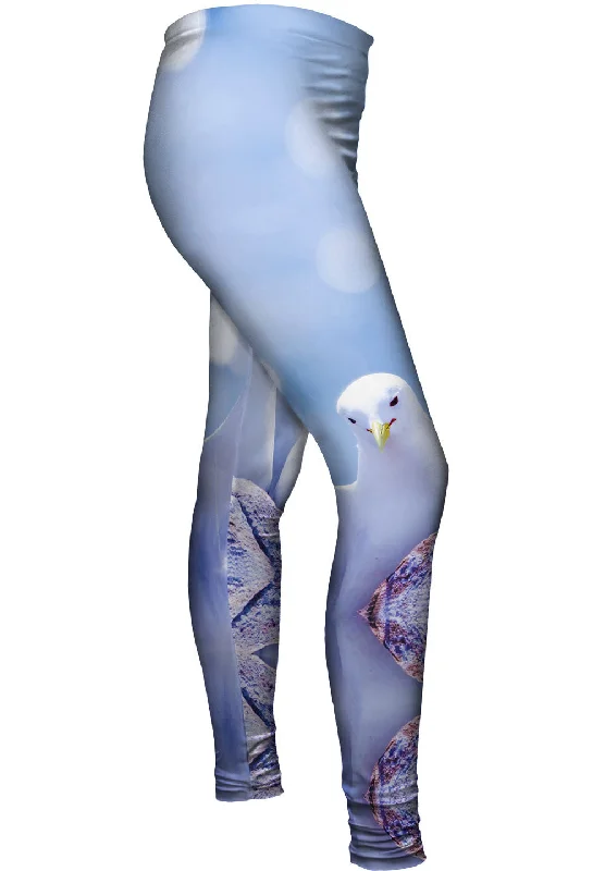 Seagull Fancy Disco