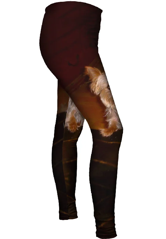 Yorkie Loves Attention Streetwear Style for 