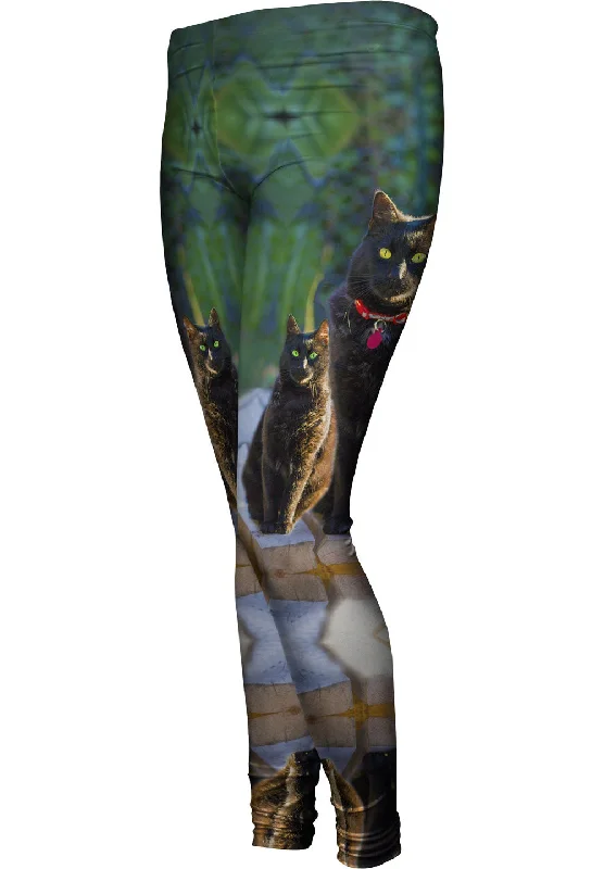 Family Cats Minimalist Women's Casual