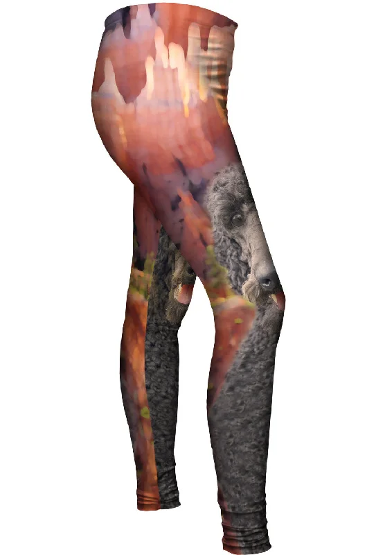 Canyon Poodle Contemporary 