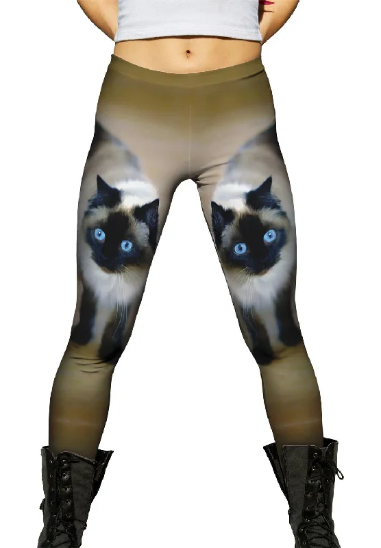Spooked Kitty Cat Cozy Women's Winter