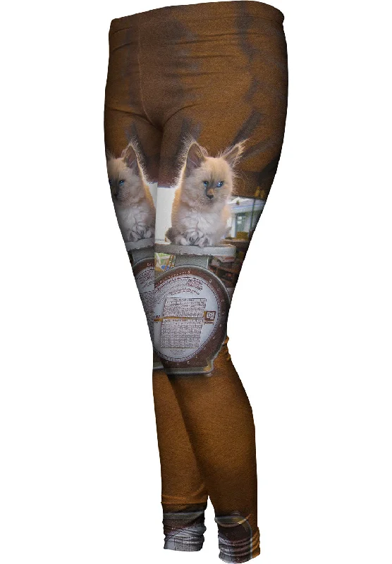 Heavy Weight Boxer Kitty Cat Artistic Women's Hand - painted