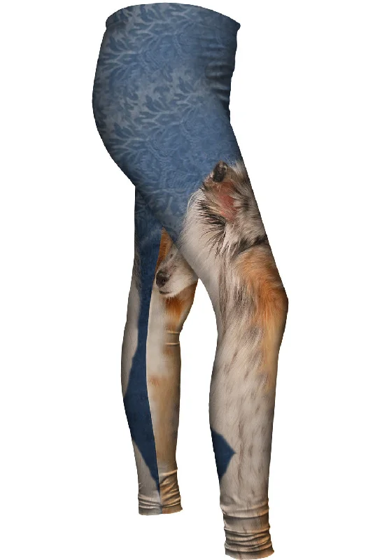 Blue Wallpaper Sheltie Laid - back Women's Style