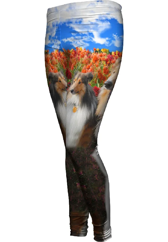 Shelties Among Tulips garde