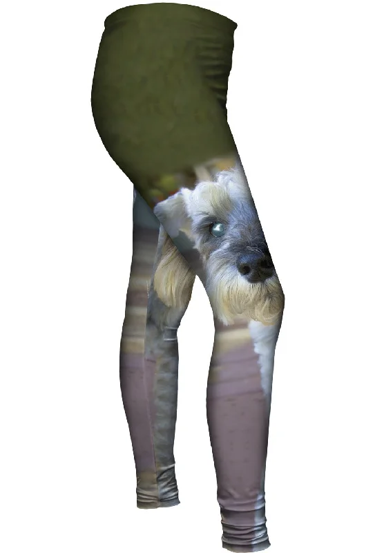 Curious Schnauzer Women