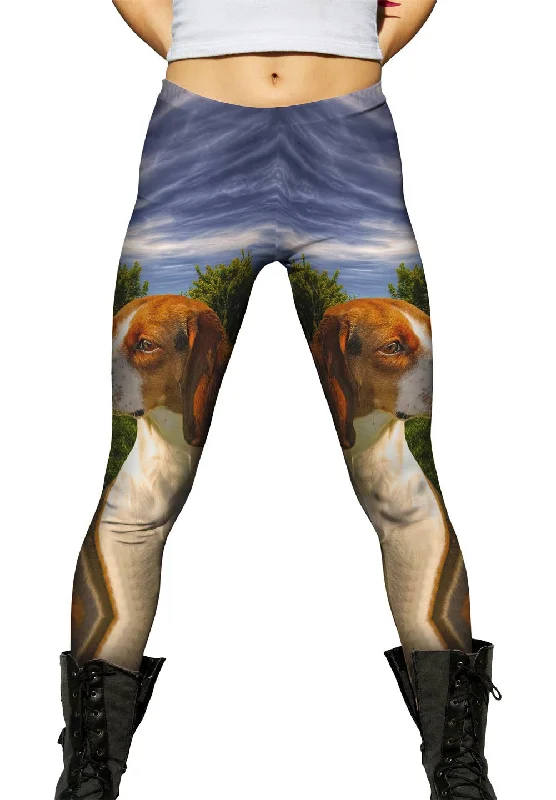 Great American Beagle purpose
