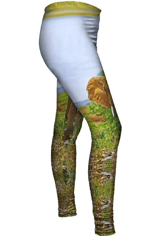Safari Elephant Monochromatic All - in - one