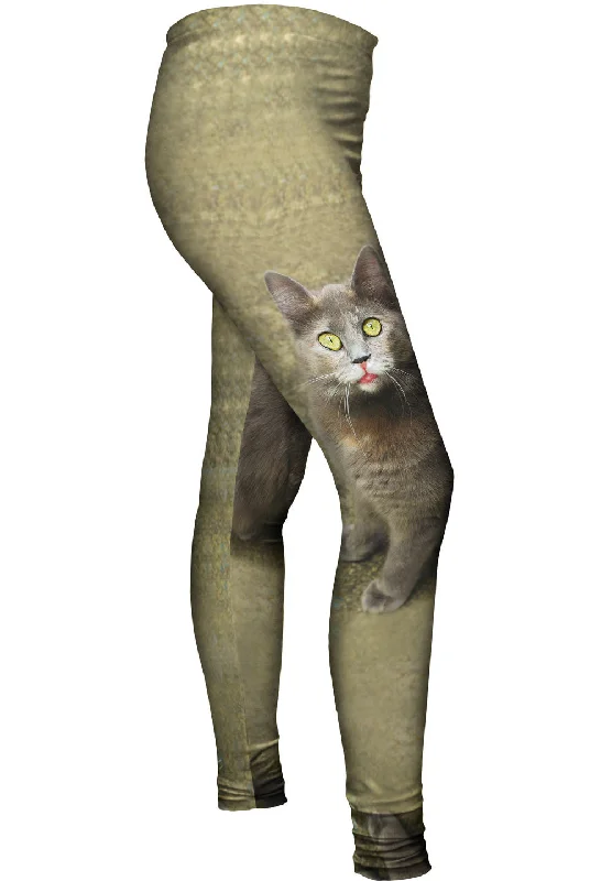 Wow Brown Cat European