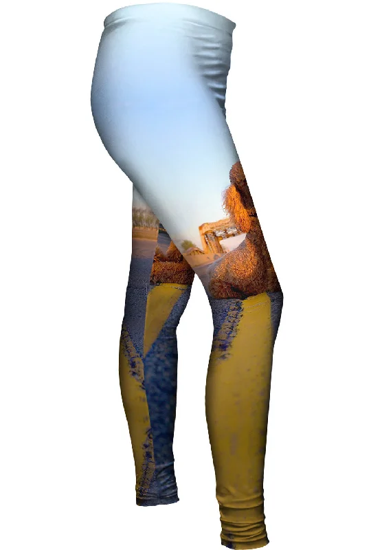 Rebel Highway Poodle Modern Women's 