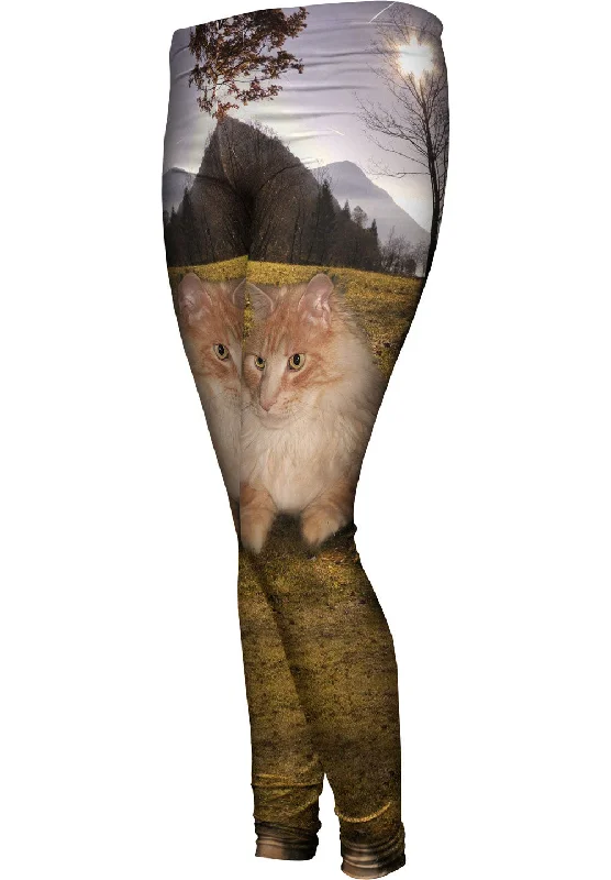 Cool Hill Cat Cool Women's Distressed