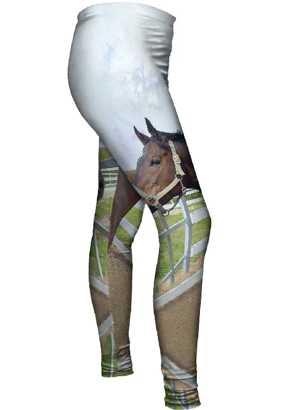 Thoughtful Stable Horse Modern Women's 