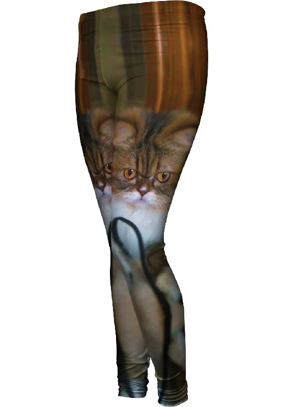 Fall Soft Kitty Cat French