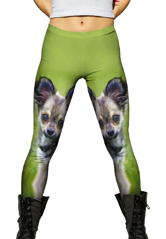 Longhaired Chihuahua Women