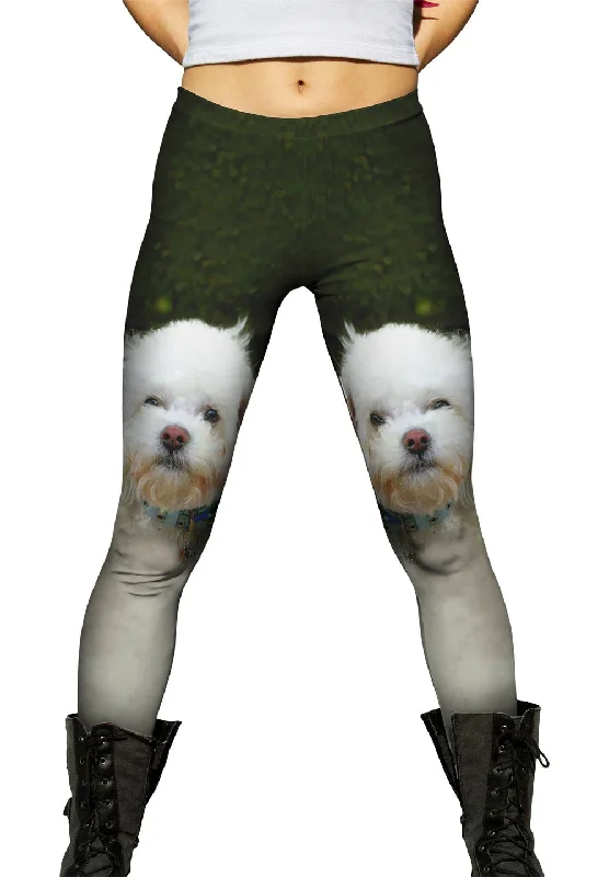 Little White Poodle Refined Women's 